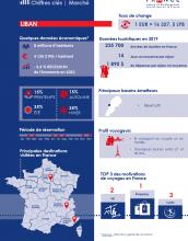 Infographie Liban