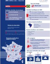 Infographie Brésil 2026