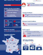 Infographie - Indonésie