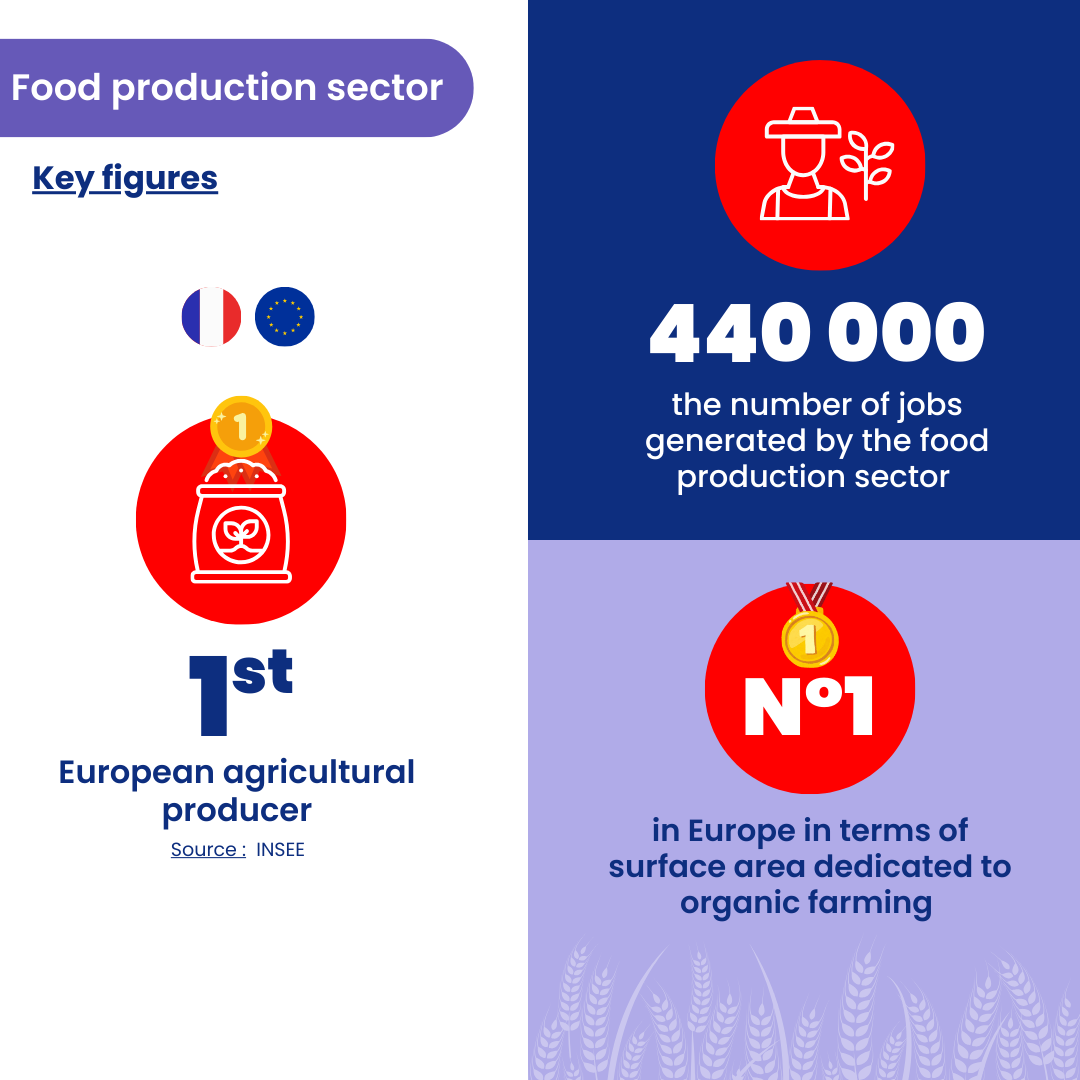 Infographie Agro alimentaire