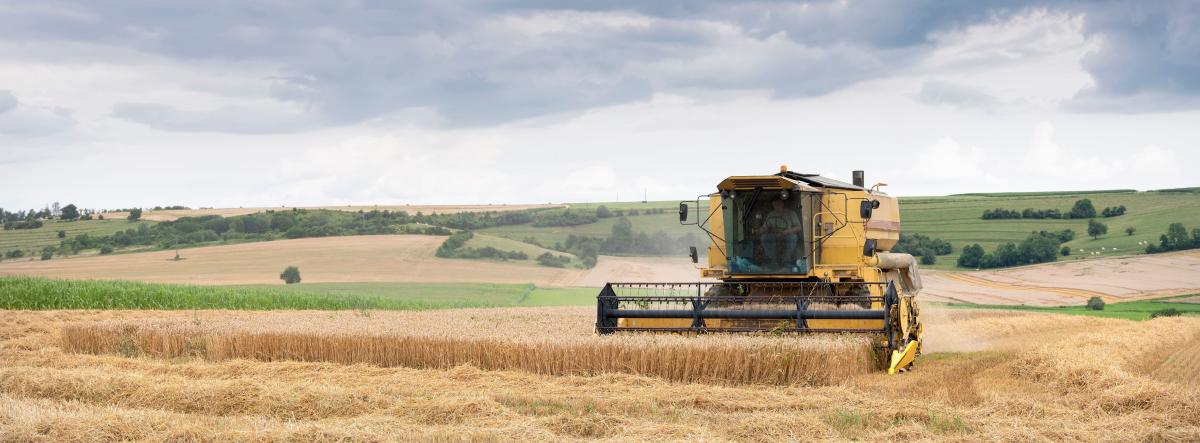 Visuel agro alimentaire