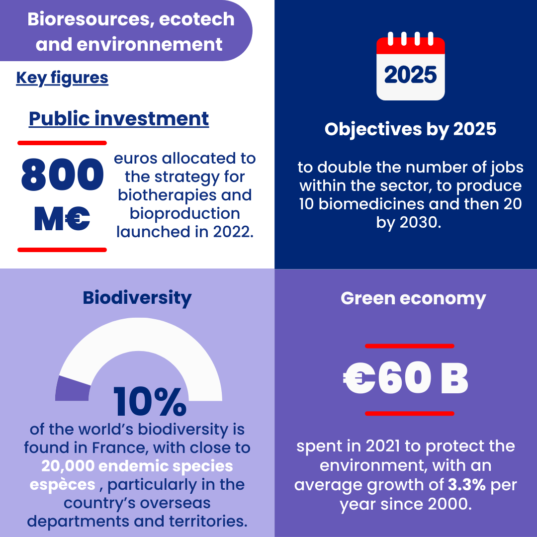 Infographie Bioressources