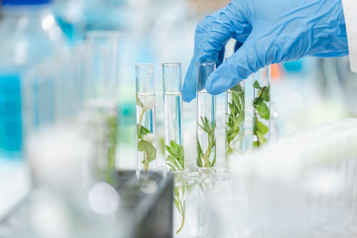 Bioresources, Ecotechnologies & Environment