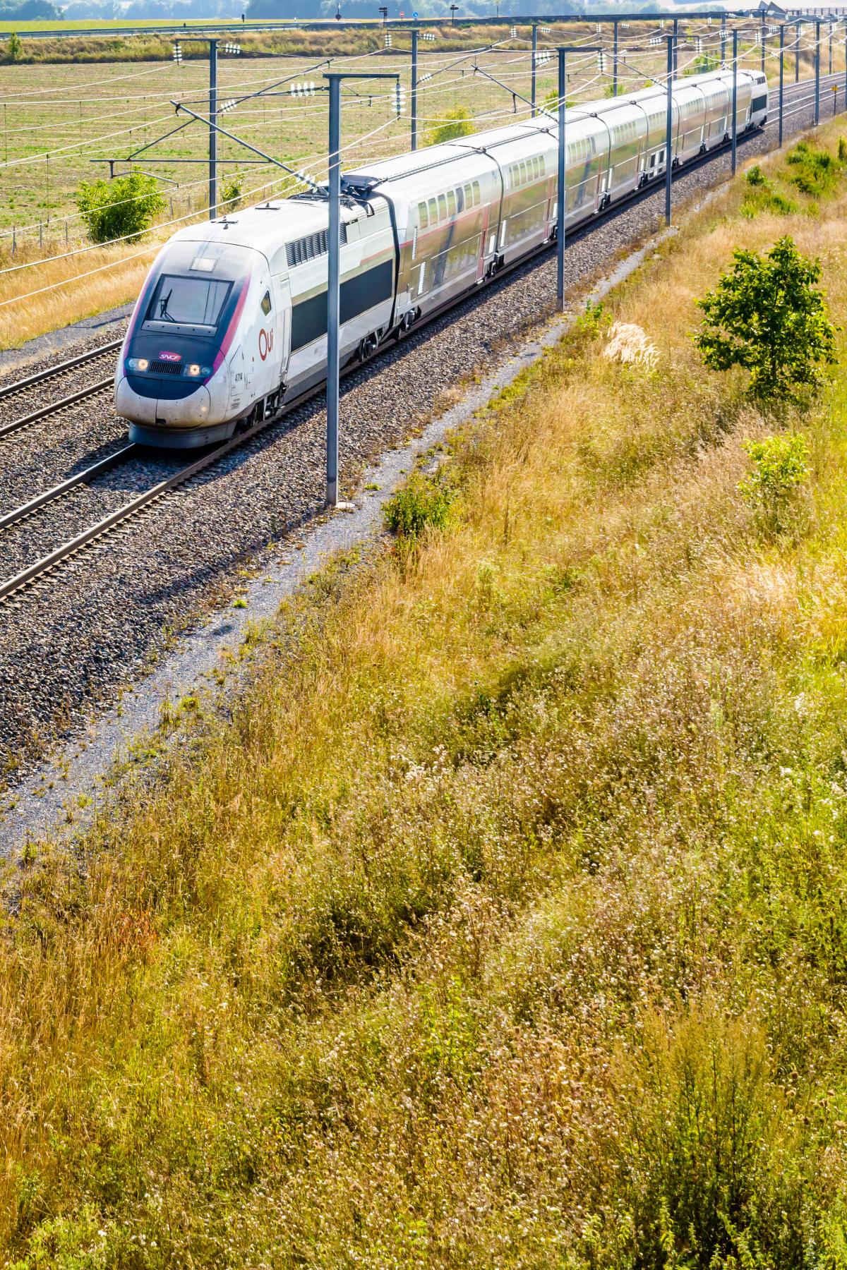 Train