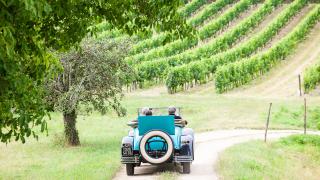 Bordeaux - vignobles