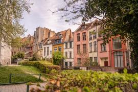 Maisons derrière la Treille Lille
