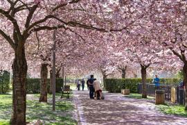 Parc Paul Verlaine Nancy