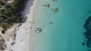 Corse