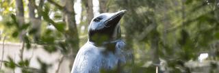ZooParc de Beauval 