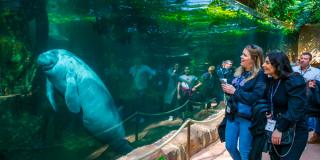 ZooParc de Beauval 