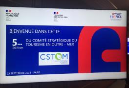 CSTOM 2