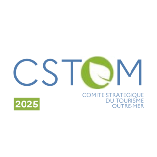 CSTOM logo