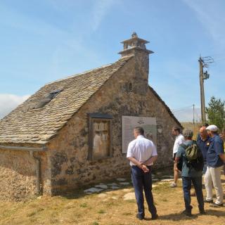 site conservatoire du cheval de Przewalkski