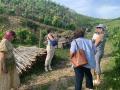 vignoble