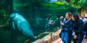 ZooParc de Beauval 