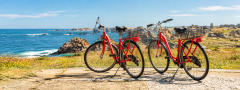 Cyclo 4